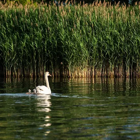 Apartmán Friends - Csaladoknak Es Barati Tarsasagoknak