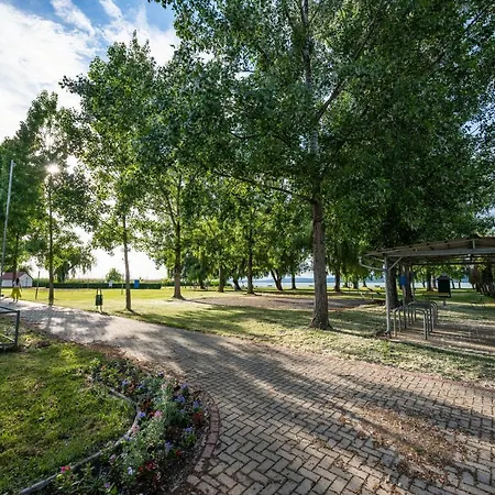 Friends - Csaladoknak Es Barati Tarsasagoknak