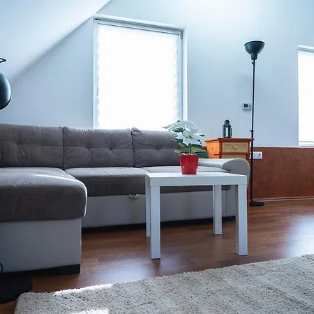 Apartment Friends - Csaladoknak Es Barati Tarsasagoknak