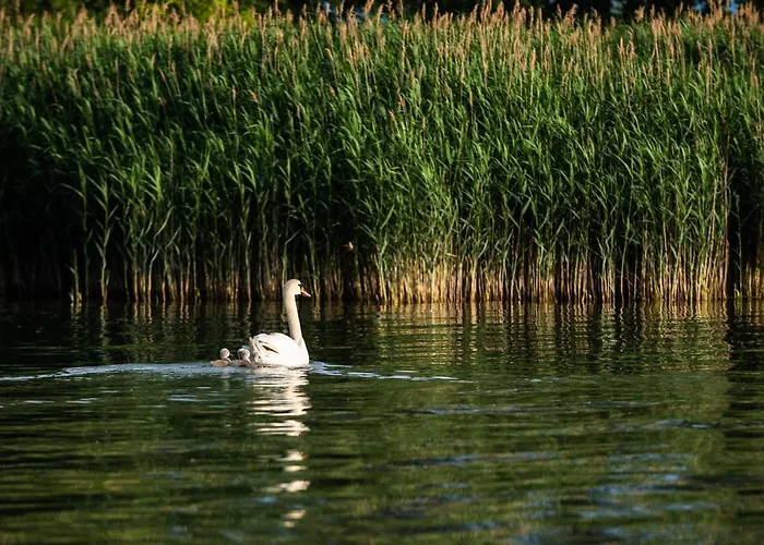 Appartamento Friends - Családoknak és Baráti Társaságoknak