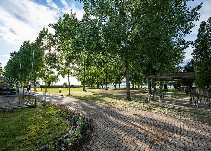 Friends - Csaladoknak Es Barati Tarsasagoknak